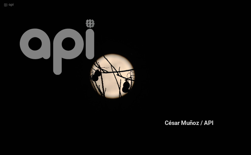 GYE-SUPERLUNA COSECHA