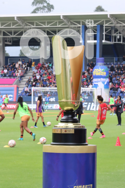 FBL-FINAL-FEMENINA-DRAGONAS-IDV-BARCELONA