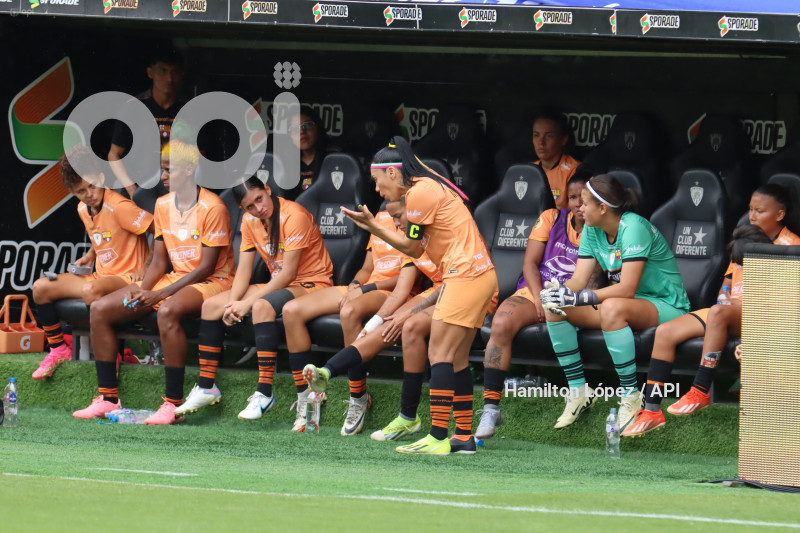 FBL-FINAL-FEMENINA-DRAGONAS-IDV-BARCELONA