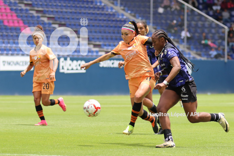 FBL-FINAL-FEMENINA-DRAGONAS-IDV-BARCELONA