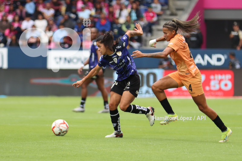 FBL-FINAL-FEMENINA-DRAGONAS-IDV-BARCELONA