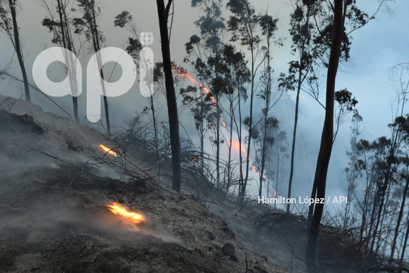 UIO-INCENDIO-SIMÓN-BOLÍVAR