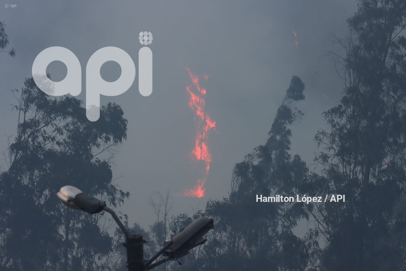 UIO-INCENDIO-SIMÓN-BOLÍVAR