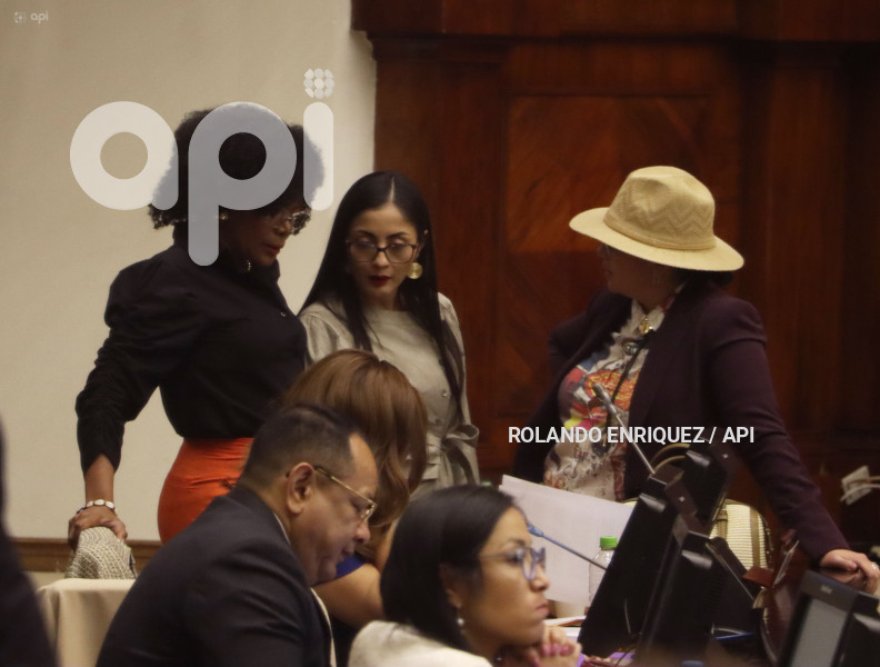 PLENO-ASAMBLEA-VERONICA-ABAD