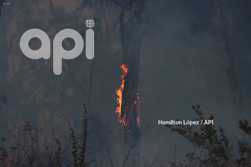 UIO-INCENDIO-SIMÓN-BOLÍVAR