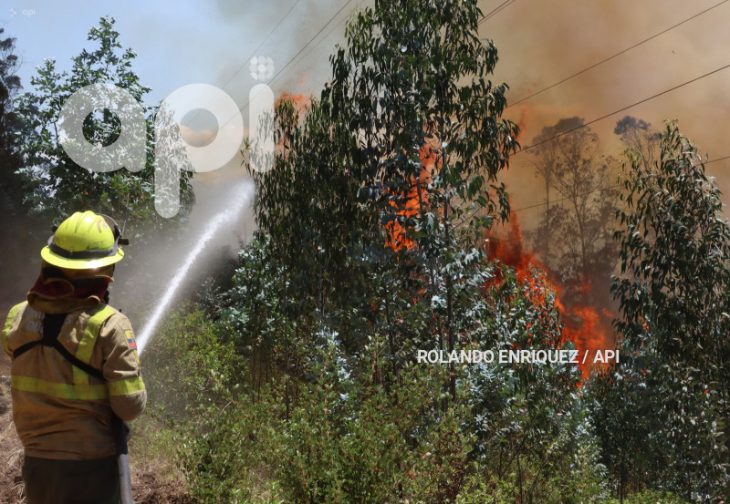 INCENDIO-CERRO-AUQUI