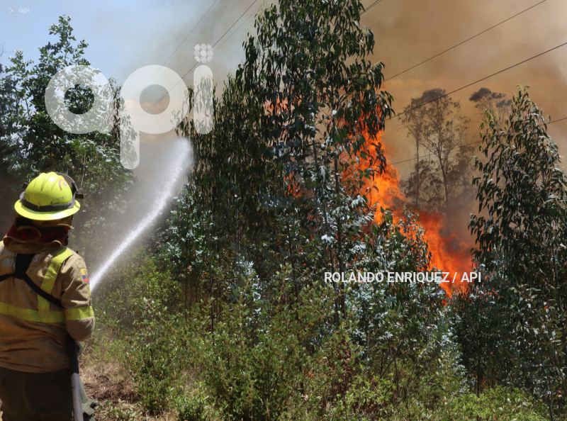 INCENDIO-CERRO-AUQUI