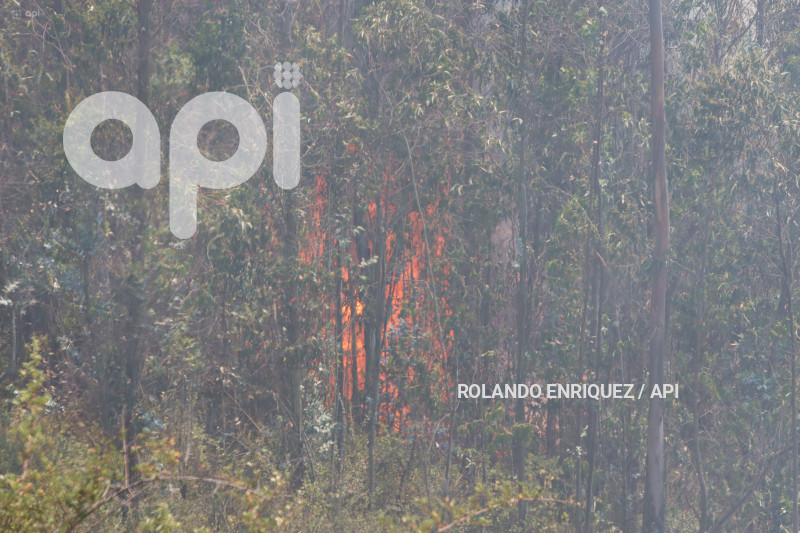 INCENDIO-CERRO-AUQUI