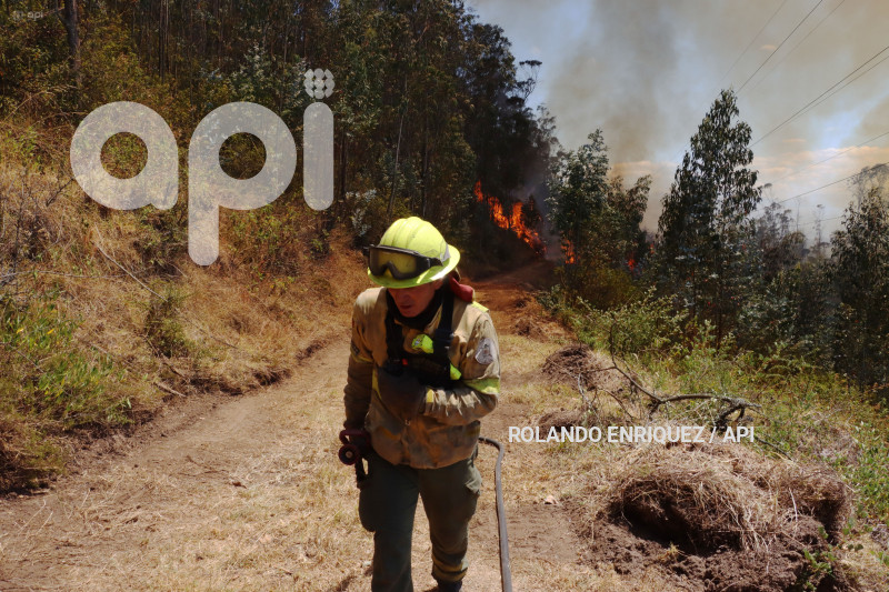 INCENDIO-CERRO-AUQUI