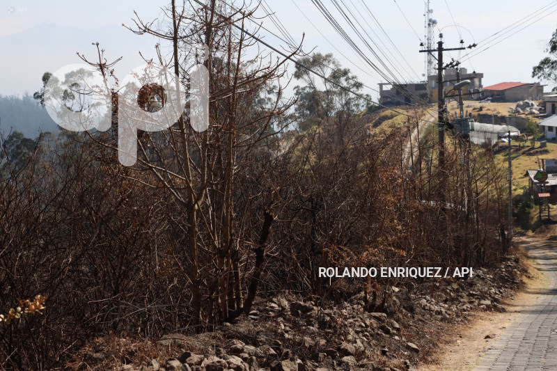 INCENDIO-CERRO-AUQUI