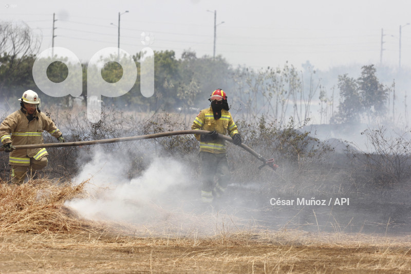GYE-INCENDIO SAMANES