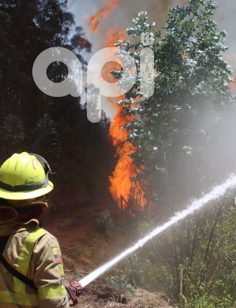 INCENDIO-CERRO-AUQUI