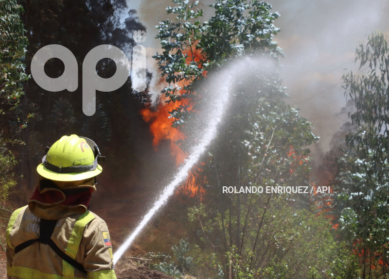 INCENDIO-CERRO-AUQUI