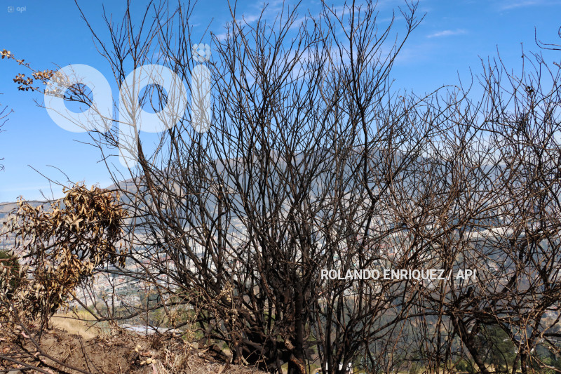 INCENDIO-CERRO-AUQUI
