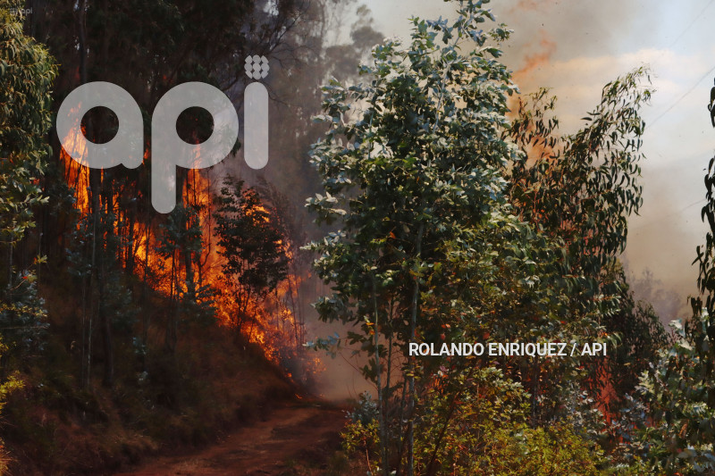 INCENDIO-CERRO-AUQUI