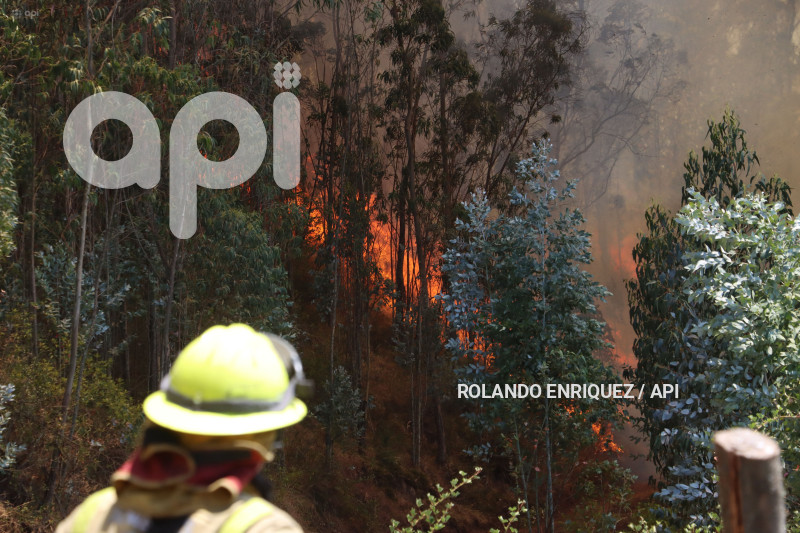 INCENDIO-CERRO-AUQUI