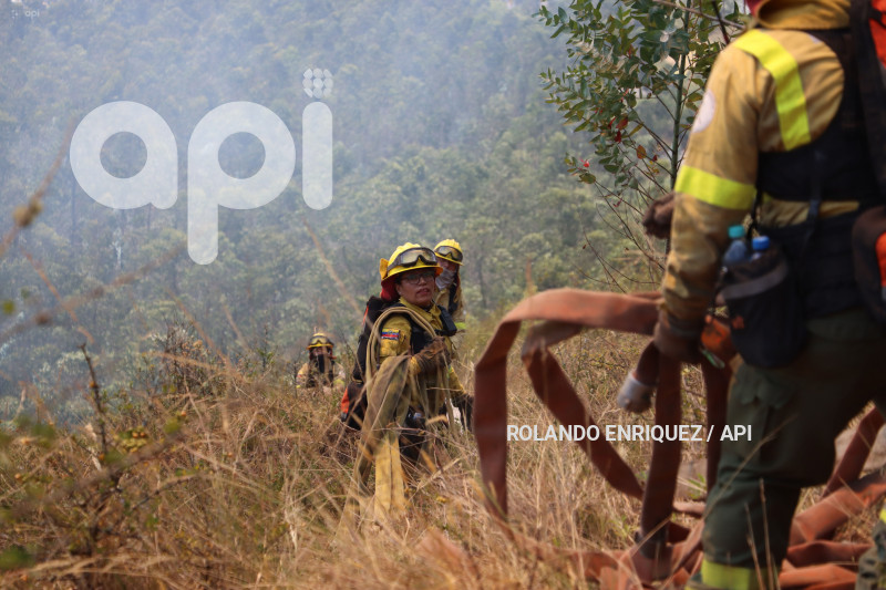 INCENDIO-CERRO-AUQUI