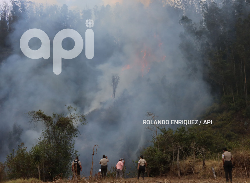 INCENDIO-CERRO-AUQUI
