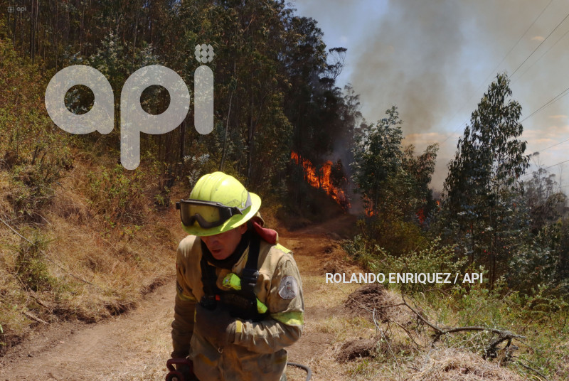 INCENDIO-CERRO-AUQUI