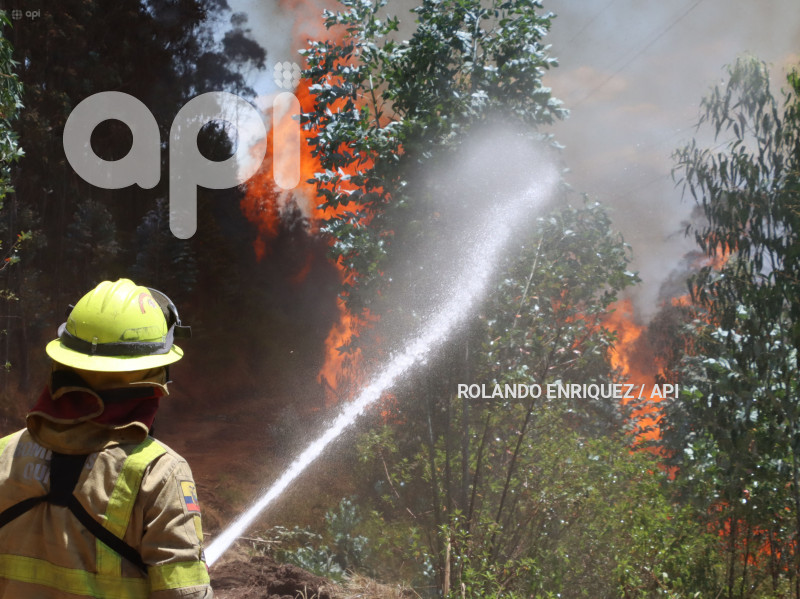 INCENDIO-CERRO-AUQUI