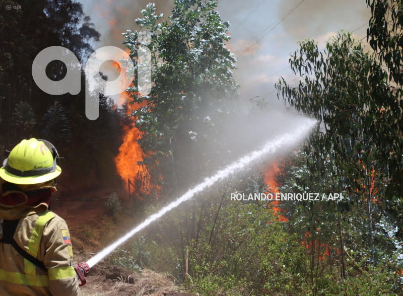 INCENDIO-CERRO-AUQUI