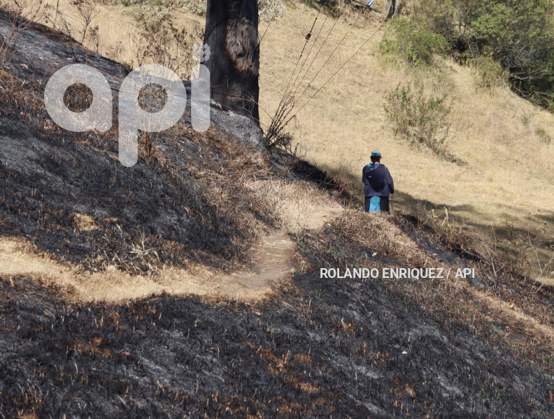 INCENDIO-CERRO-AUQUI