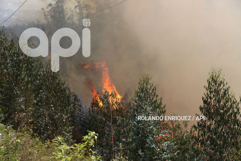 INCENDIO-CERRO-AUQUI