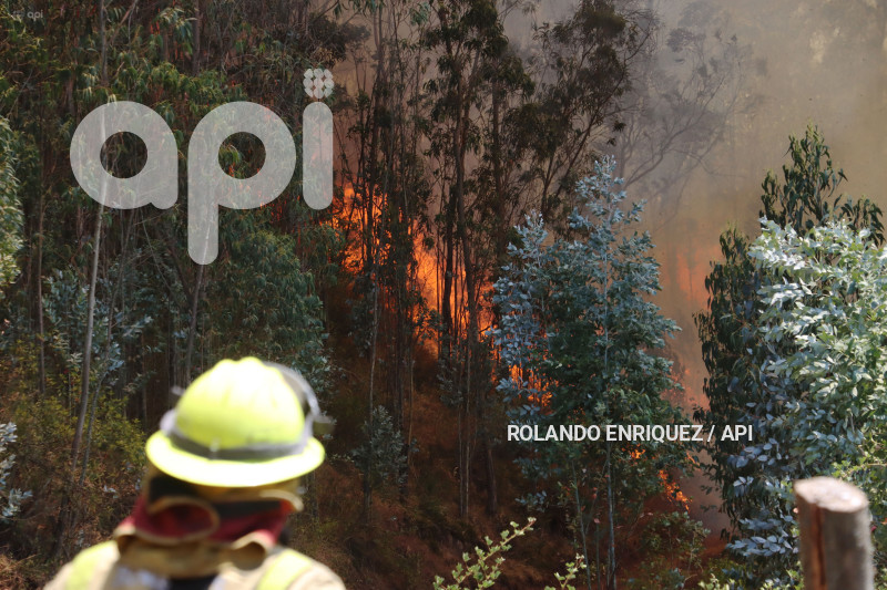 INCENDIO-CERRO-AUQUI