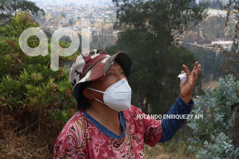 INCENDIO-CERRO-AUQUI