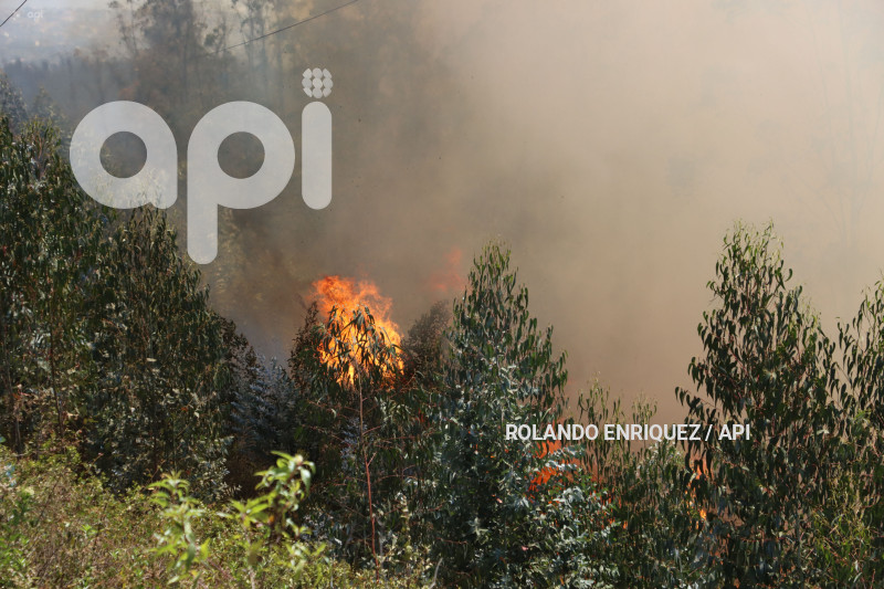 INCENDIO-CERRO-AUQUI