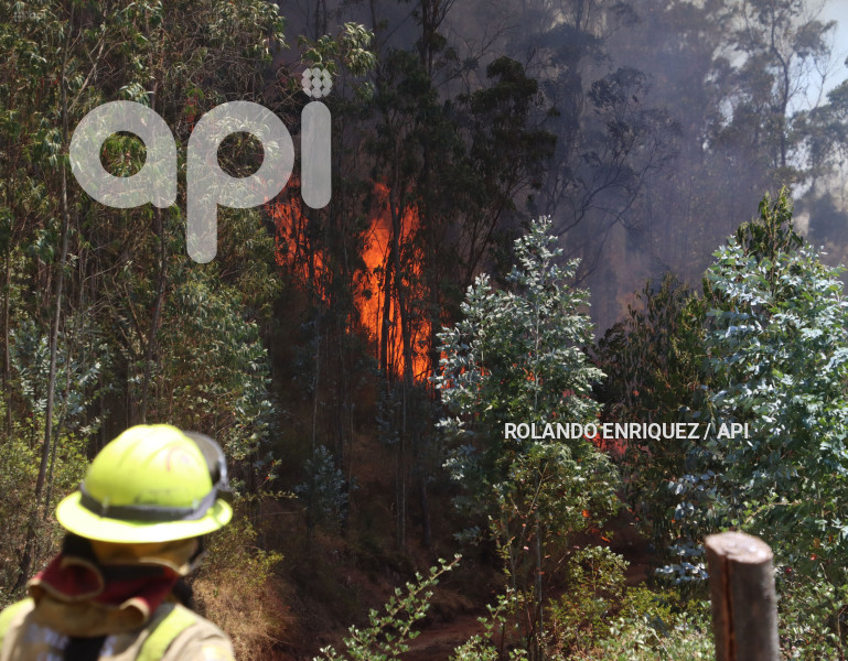 INCENDIO-CERRO-AUQUI