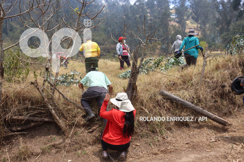 INCENDIO-CERRO-AUQUI