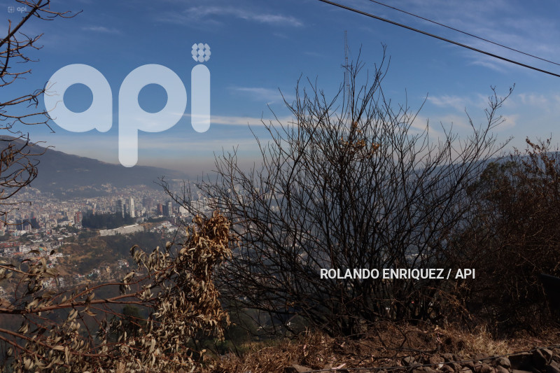 INCENDIO-CERRO-AUQUI