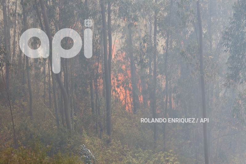 INCENDIO-CERRO-AUQUI