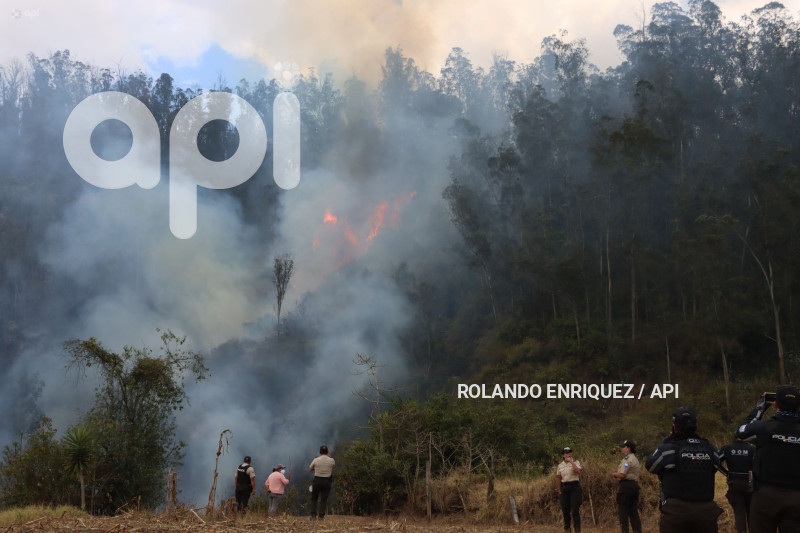 INCENDIO-CERRO-AUQUI