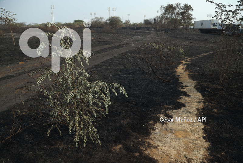 GYE-INCENDIO SAMANES-AFECTADOS