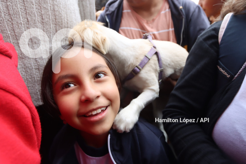 UIO-BENDICIÓN-ANIMALES