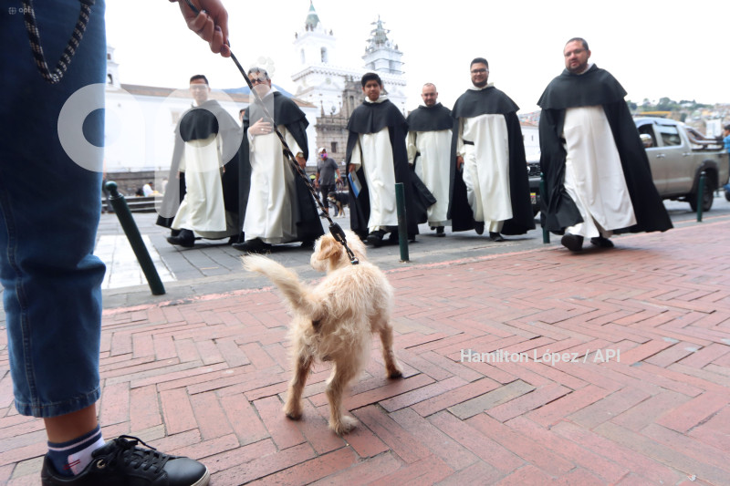 UIO-BENDICIÓN-ANIMALES