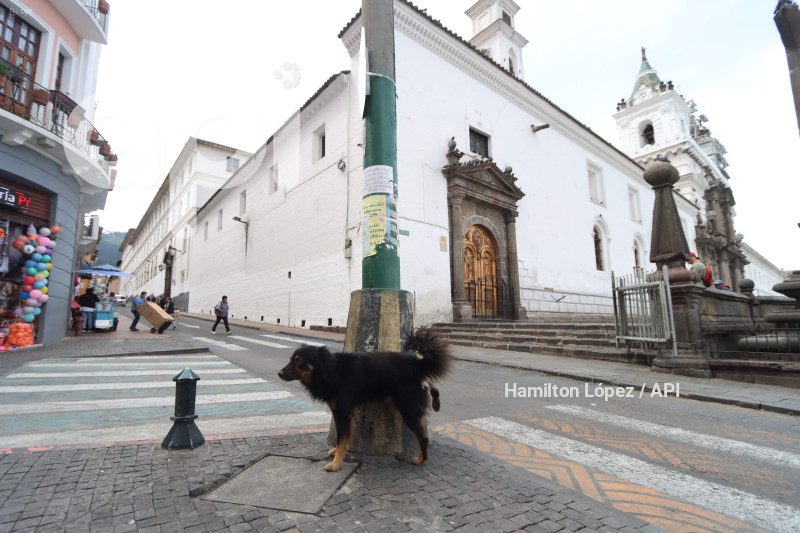 UIO-BENDICIÓN-ANIMALES