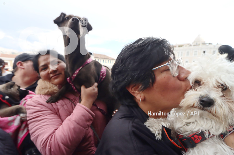 UIO-BENDICIÓN-ANIMALES