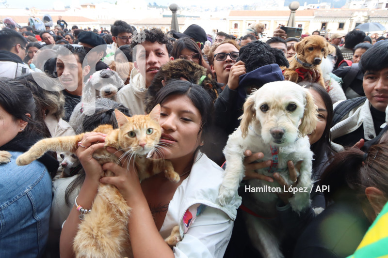 UIO-BENDICIÓN-ANIMALES