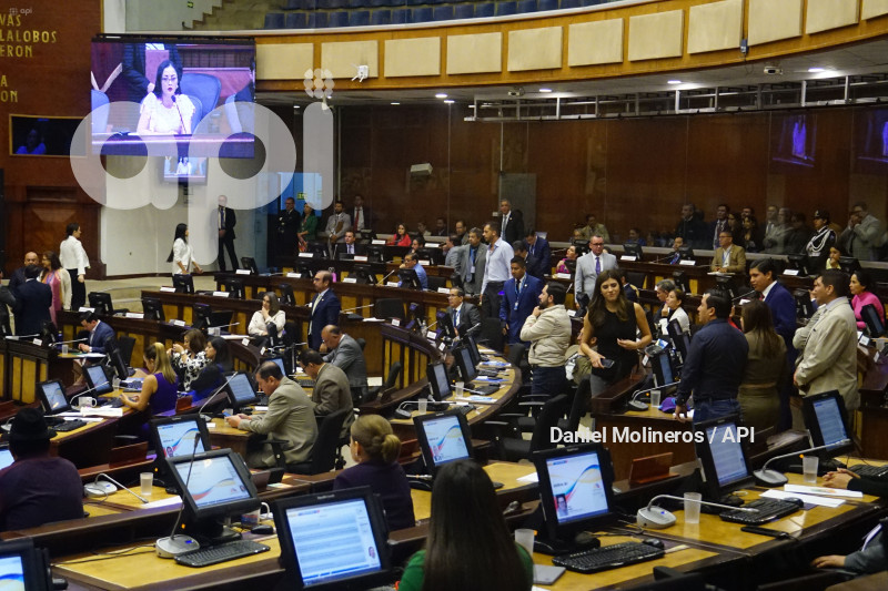ASAMBLEA PRIMERA VICEPRESIDENCIA