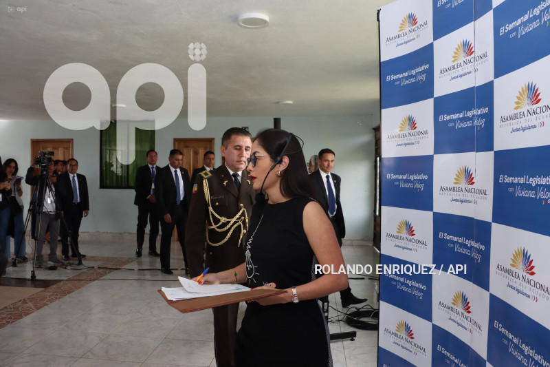 INFORME-VIVIANA-VELOZ