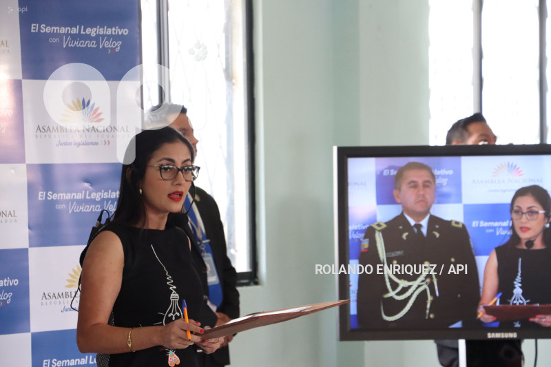 INFORME-VIVIANA-VELOZ