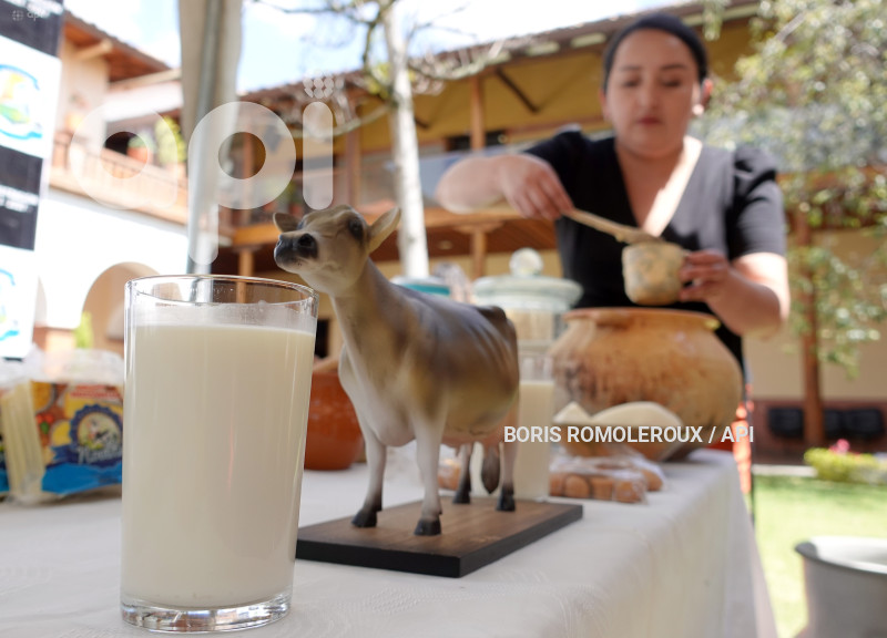 CUENCA-LANZAMIENTO 5 FERIA DE LA LECHE-PALMAS