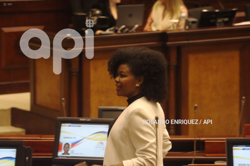 JUICIO-POLITICO-MINISTRA-PALENCIA