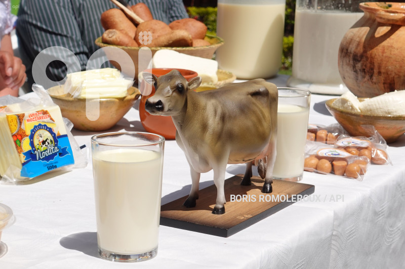 CUENCA-LANZAMIENTO 5 FERIA DE LA LECHE-PALMAS