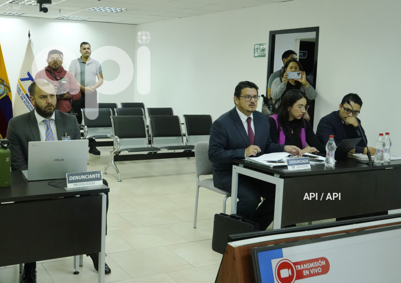 CONTENCIOSO-ELECTORAL-CASO-VICEPRESIDENTA