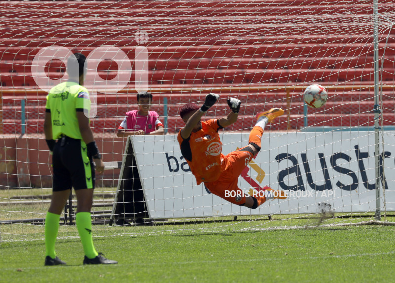 FBL-AVICED F C-EVEREST