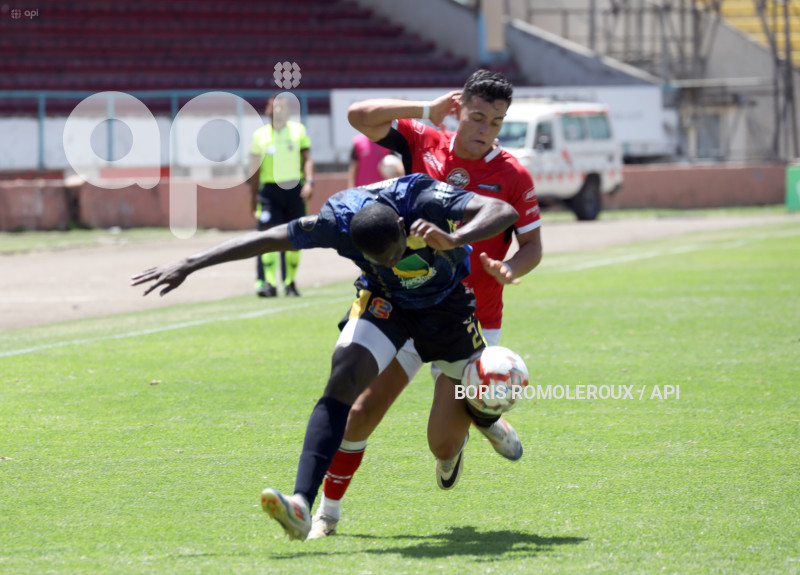 FBL-AVICED F C-EVEREST